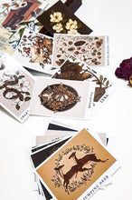 Load image into Gallery viewer, Jessica Roux Illustrated Stickers - 10 pcs
