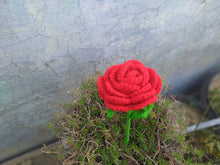 Load image into Gallery viewer, Crochet Rose
