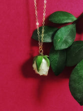 Load image into Gallery viewer, White Real Rose Necklace - Golden
