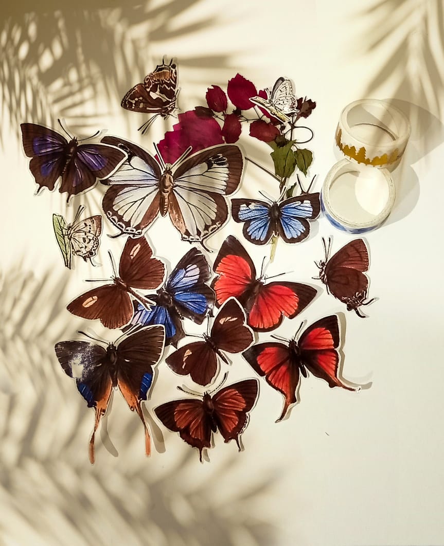 Butterflies Stickers - 14 pcs